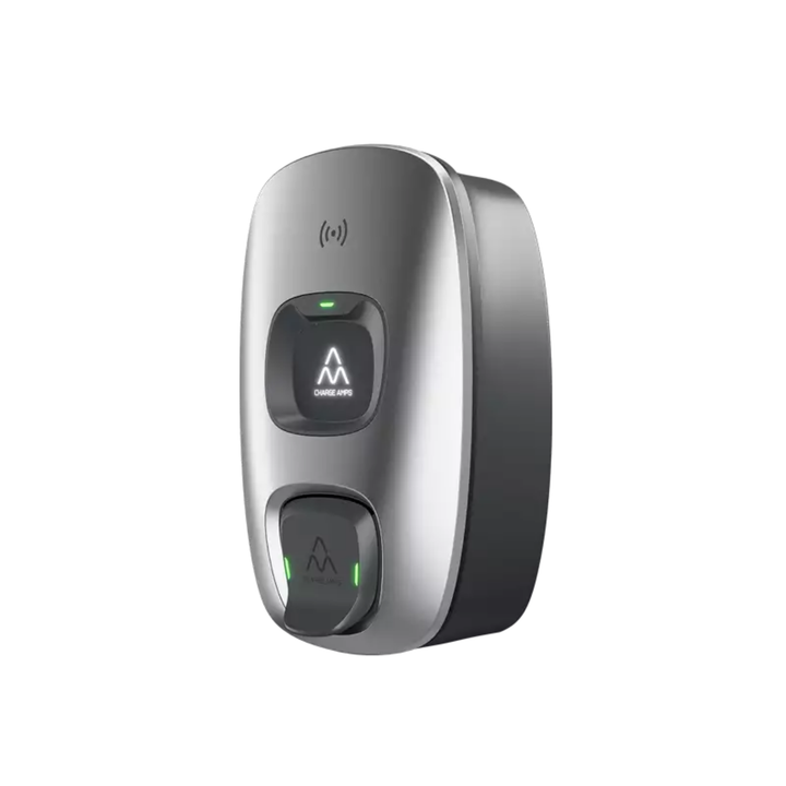 Charge Amps Dawn Professional DE